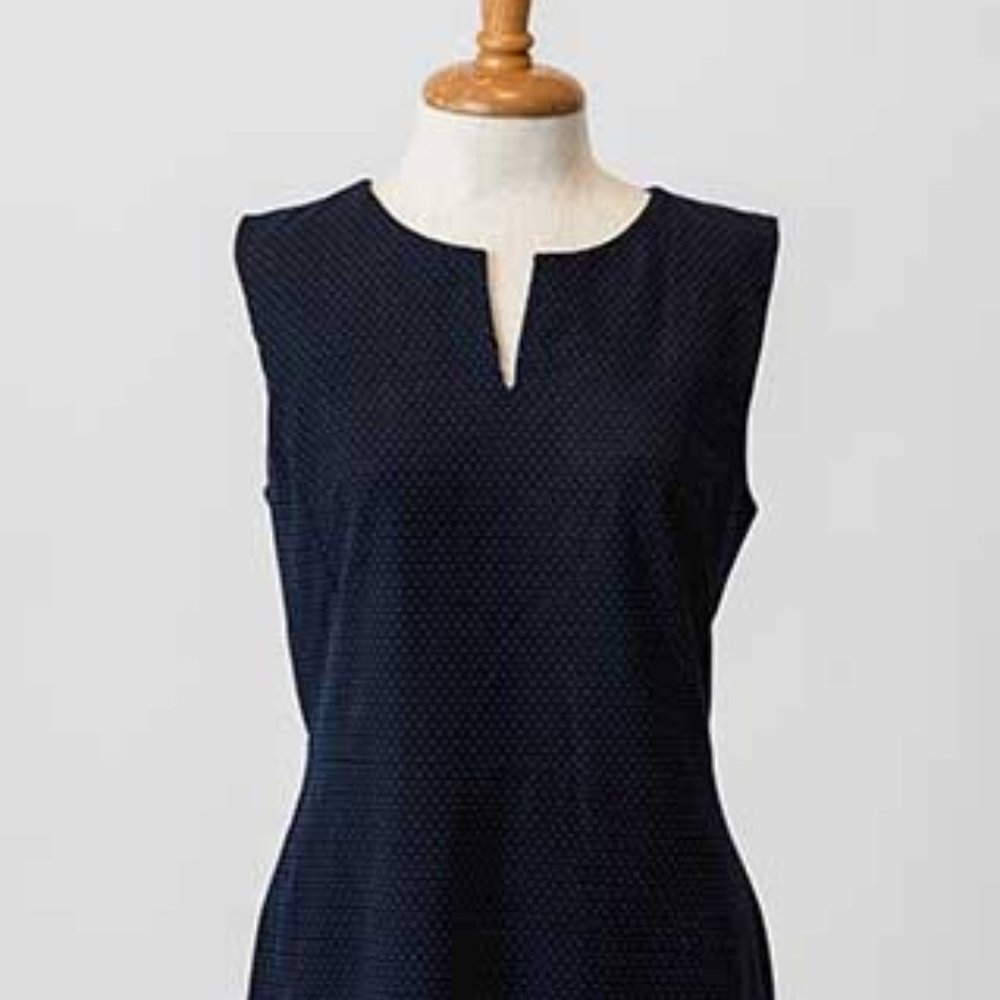Ann Taylor Navy Polka Dot Shift Dress | Sz 6